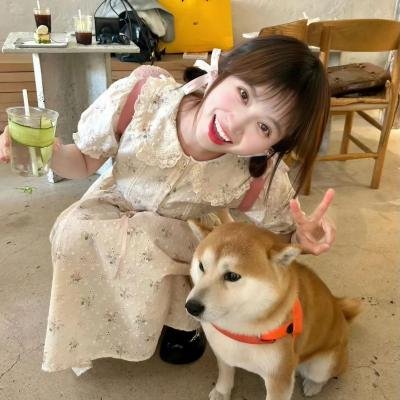 飞龙引凤